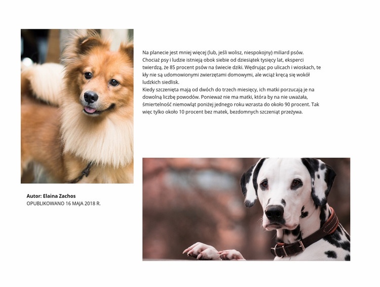 Artykuł o psach Kreator witryn internetowych HTML