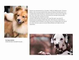 Artigo Dog Modelo Responsivo HTML5