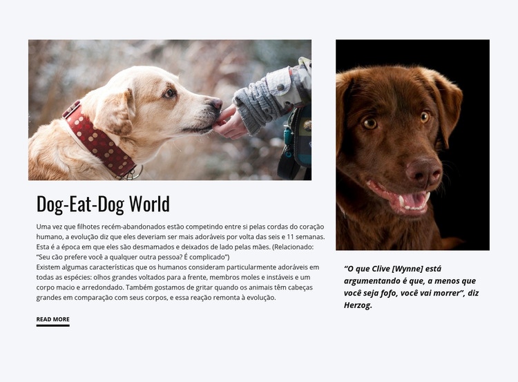 Comida para cachorro Modelo HTML5