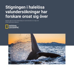 Svansfri Val - Målsida