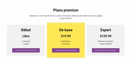 Trois Plans Tarifaires - Conception De Sites Web