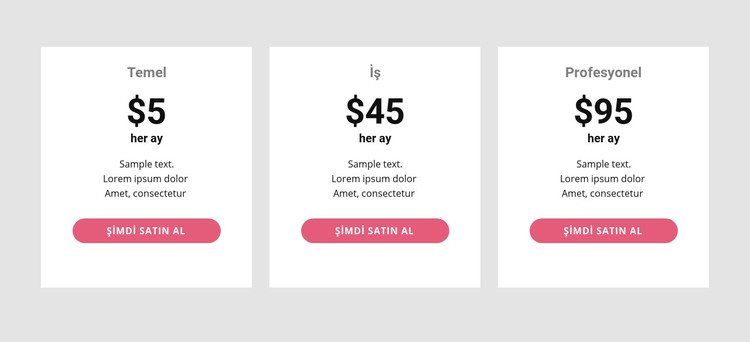 Basit fiyatlandırma tablosu HTML Şablonu