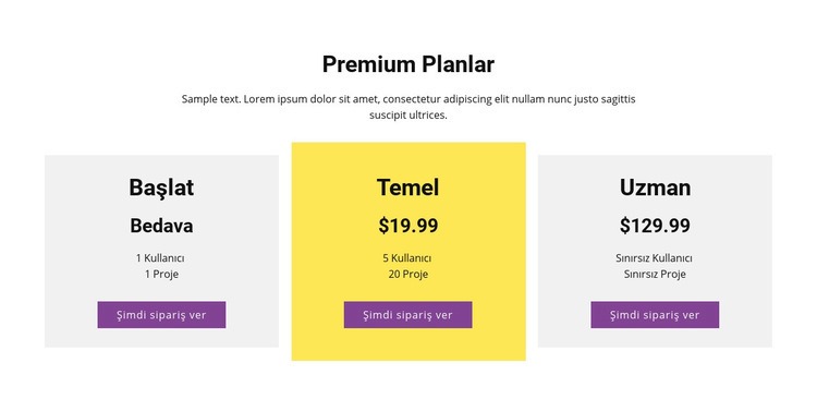 Üç fiyatlandırma planı Html Web Sitesi Oluşturucu