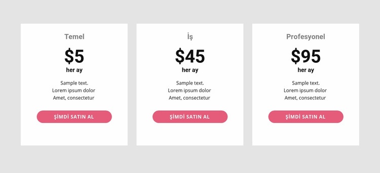 Basit fiyatlandırma tablosu Web Sitesi Mockup'ı