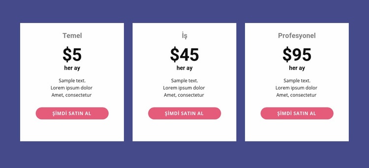 Klasik fiyatlandırma tablosu Web Sitesi Oluşturucu Şablonları
