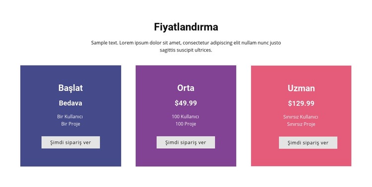  Renkli fiyatlandırma tablosu Web Sitesi Oluşturucu Şablonları