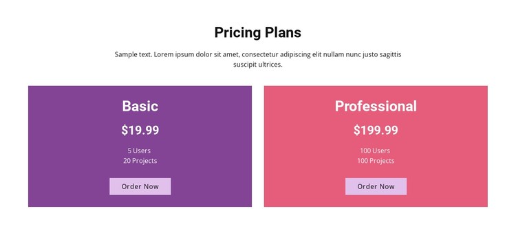 Basic and professional plans CSS Template