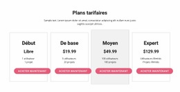 Passez À Un Plan Premium : Modèle D'Amorçage D'Une Page