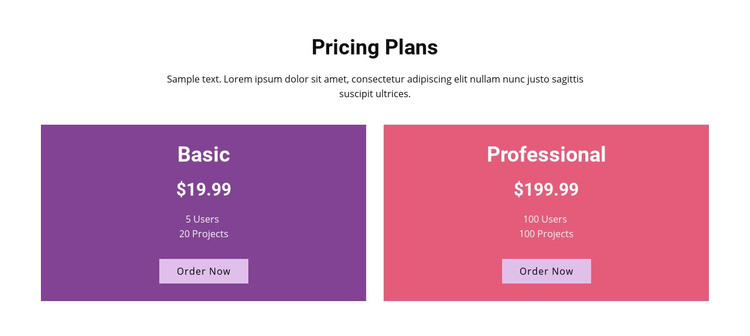 Basic and professional plans Homepage Design