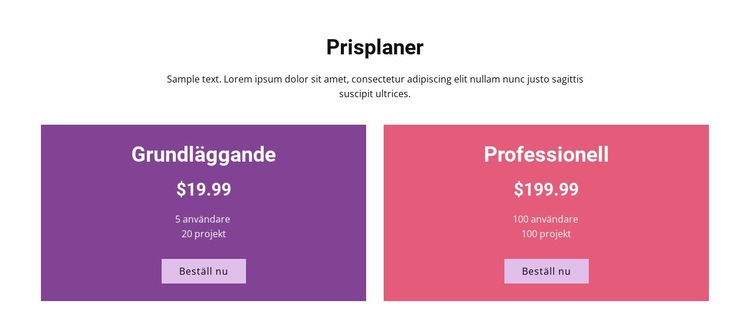 Grundläggande och professionella planer Webbplats mall
