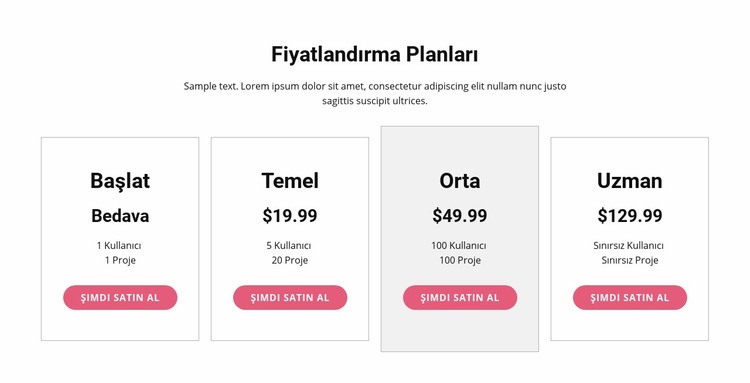 Premium plana yükseltin Web Sitesi Mockup'ı