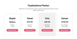 Premium Plana Yükseltin Web Sitesi Şablonu