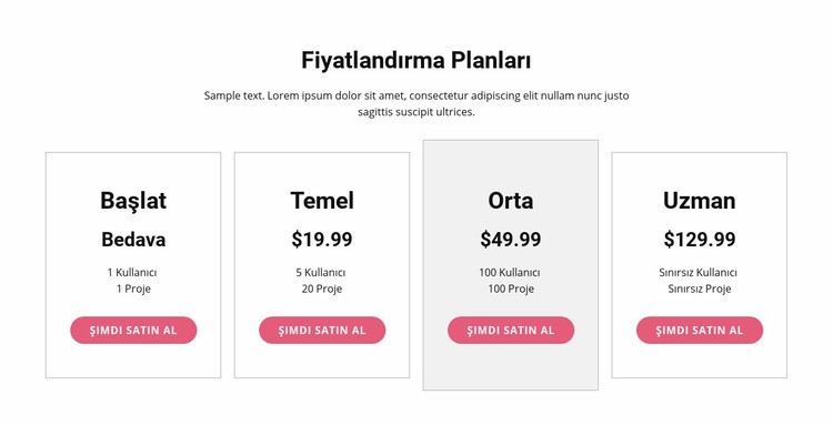 Premium plana yükseltin Web sitesi tasarımı