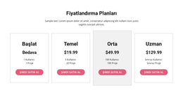 Premium Plana Yükseltin - En Iyi WordPress Teması