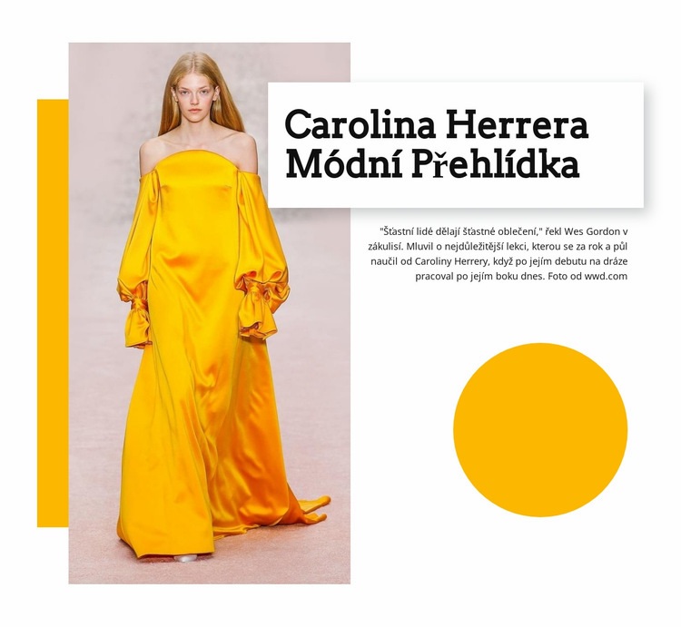 Módní přehlídka Šablona