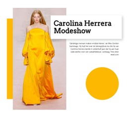 Websiteontwerp Voor Modeshow