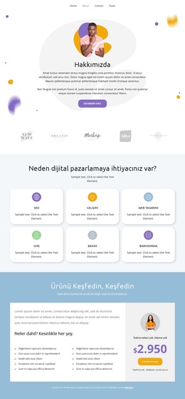 Ürünü Keşfedin - Yaratıcı Çok Amaçlı WordPress Teması