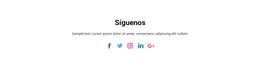 Iconos Sociales Con Texto