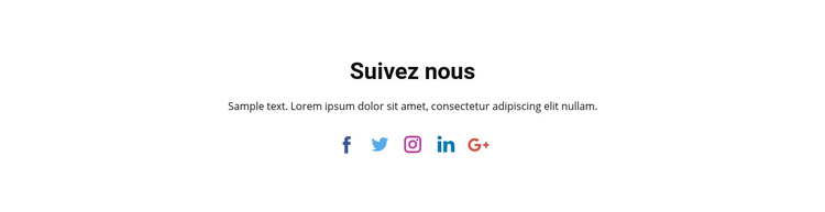 Icônes sociales avec texte Thème WordPress