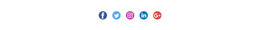 Social Icons With Colored Background - Awesome WordPress Theme