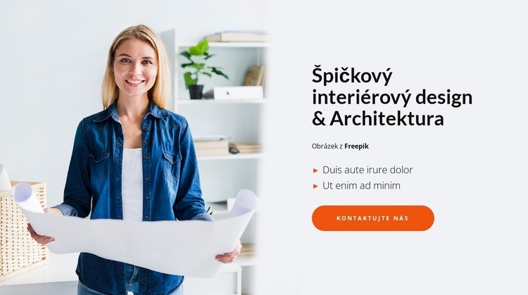 Špičkový design interiéru Webový design