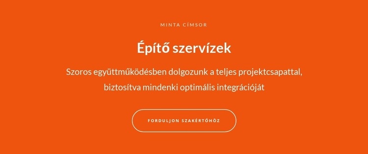 Szöveg és gomb nagy szöveggel WordPress Téma