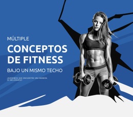 Múltiples Conceptos De Fitness: La Mejor Plantilla De Una Página