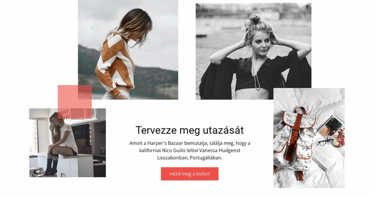 Tervezze meg utazását WordPress Téma