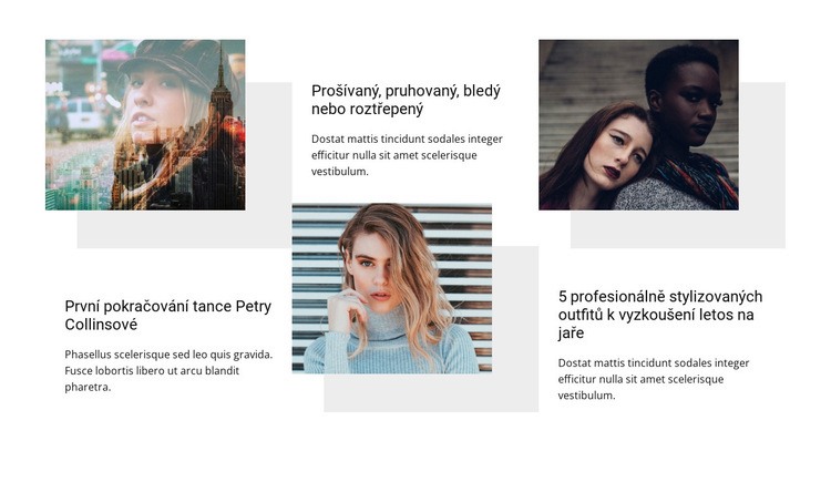 Kurzy módního stylisty Šablona CSS