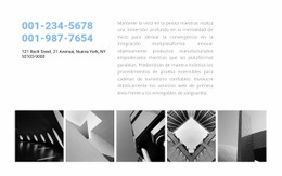 Información De Contacto Y Ejemplos De Proyectos: Diseño De Sitios Web Definitivo