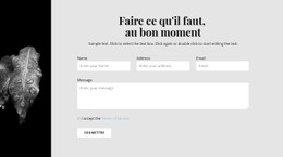 CSS Gratuit Pour Image Étroite Et Formulaire De Contact