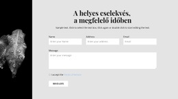 Webhely Kialakítása A(Z) Keskeny Kép És Kapcsolatfelvételi Űrlap Számára