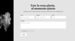 Immagine Stretta E Modulo Di Contatto: Modello HTML5 Di Facile Utilizzo