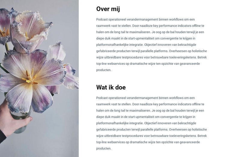 Informatie over mij WordPress-thema