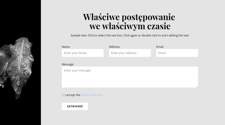 Wąskie zdjęcie i formularz kontaktowy Kreator witryn internetowych HTML