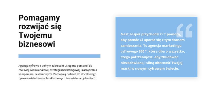 Tekst i cytat Motyw WordPress