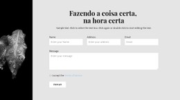 CSS Grátis Para Imagem Estreita E Formulário De Contato