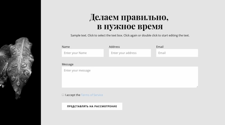 Узкое изображение и контактная форма Мокап веб-сайта