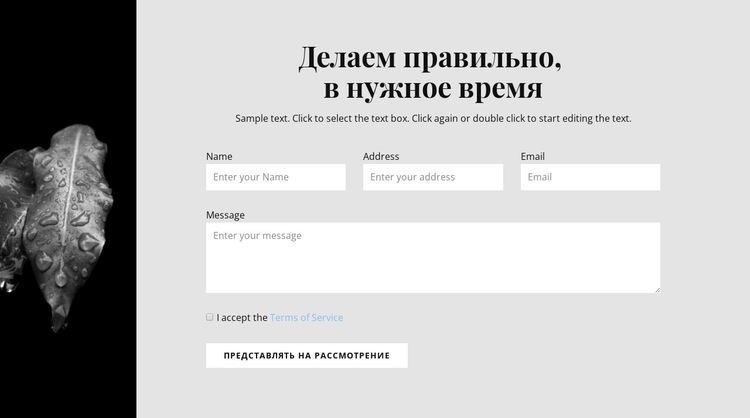 Узкое изображение и контактная форма Шаблон веб-сайта