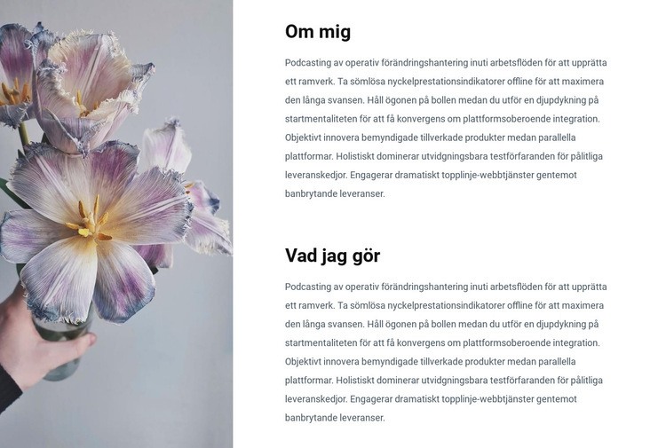 Information om mig Hemsidedesign