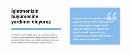 Metin Ve Alıntı Wordpress 4.6