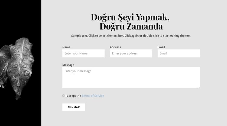 Dar resim ve iletişim formu Web Sitesi Mockup'ı