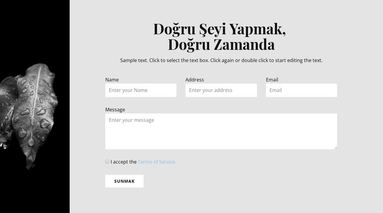 Dar resim ve iletişim formu Web sitesi tasarımı