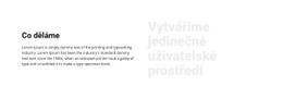 Vytvoření Jedinečného Uživatele – Responzivní Web