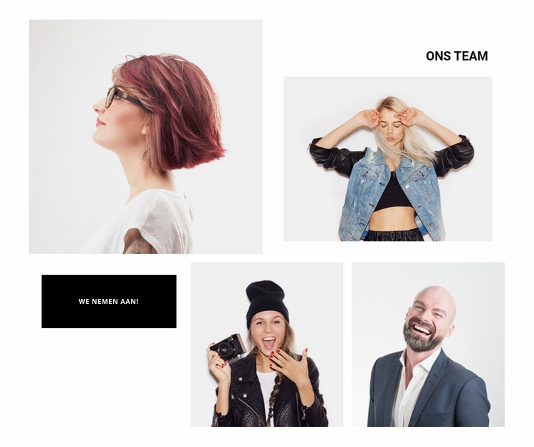 Ons team telt 4 personen Website ontwerp