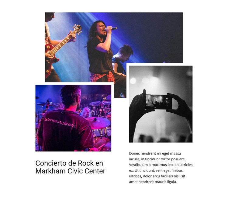 Concierto de rock Maqueta de sitio web
