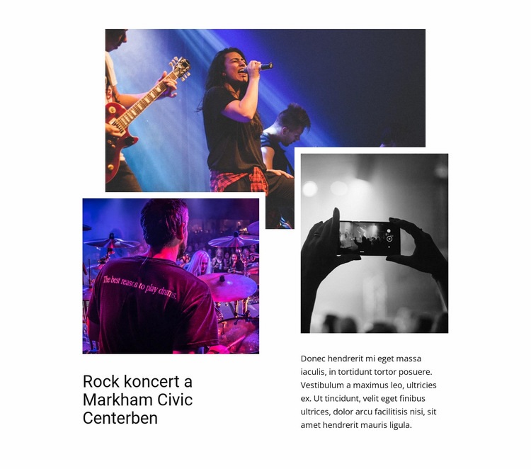 Rock koncert Weboldal sablon