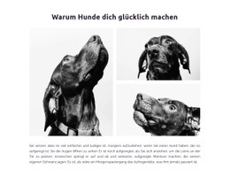 Glückliche Hunde - Vorlage Für Eine Seite