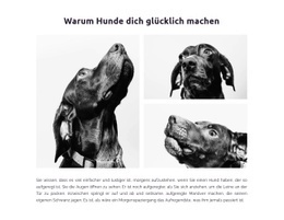 Glückliche Hunde #Html5-Template-De-Seo-One-Item-Suffix
