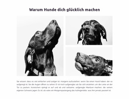 Glückliche Hunde